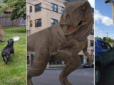 Cómo ver dinosaurios virtuales Jurassic World en Google