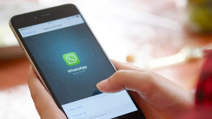 ¿WhatsApp se detuvo? Así lo puedes solucionar