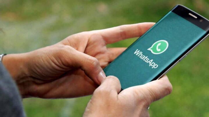 Descubre cómo reportar un contacto en WhatsApp