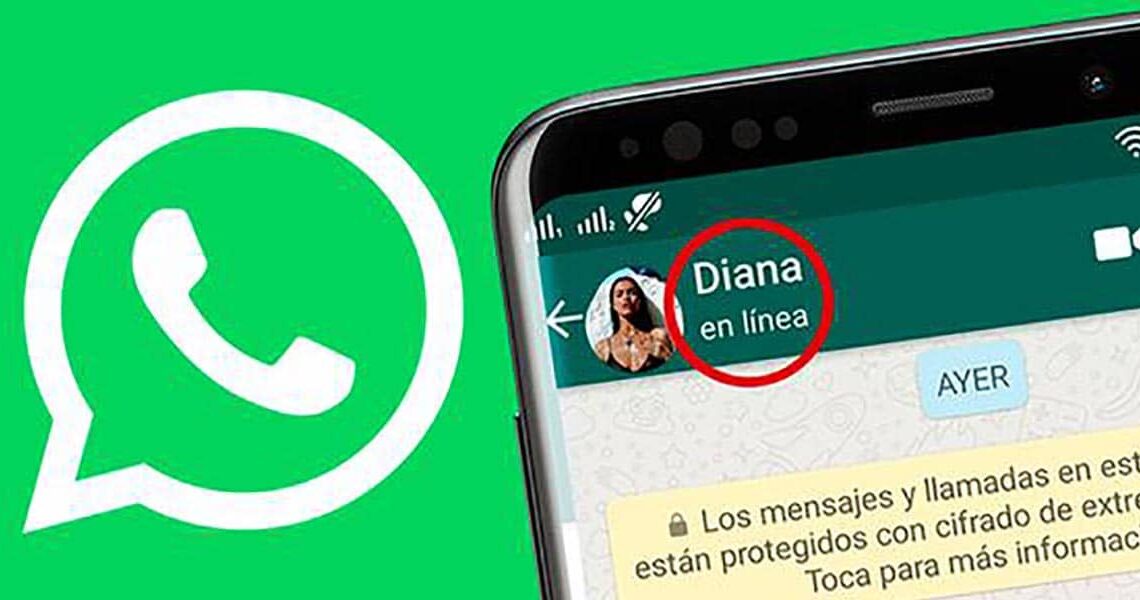 Descubre cómo no aparecer en linea en WhatsApp para Android